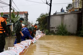 Lực lượng bộ đội hỗ trợ đắp đê bao ngăn nước khu dân cư ven sông Bùi. (Ảnh: Nhật Anh/TTXVN)