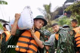 Lực lượng bộ đội hỗ trợ đắp đê bao ngăn nước khu dân cư ven sông Bùi. (Ảnh: Nhật Anh/TTXVN)