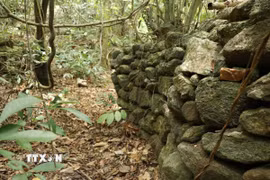 Thành hào bằng đá gần như nguyên trạng sau hơn nửa thế kỷ tại hang Đá Sập (xã Hà Nha, thành phố Đà Nẵng) được cho là công sự của bộ đội ta trong thời kỳ kháng chiến. (Ảnh: Khoa Chương/TTXVN)