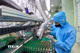 Lắp ráp các sản phẩm điện tử tại Khu Công nghệ cao Đà Nẵng. (Ảnh: Mỹ Hà/TTXVN)