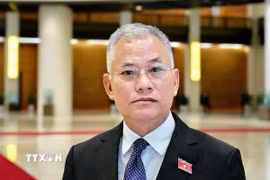 Phó Chủ nhiệm Ủy ban Quốc phòng, An ninh và Đối ngoại Quốc hội Đôn Tuấn Phong trả lời báo chí. (Ảnh: TTXVN phát)