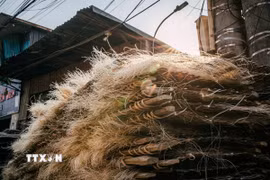 Những sợi miến được phơi trên giá tre, vàng óng dưới ánh nắng. (Ảnh: Phạm Tuấn Anh/TTXVN)