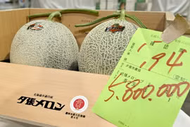 Cặp dưa lưới thượng hạng được bán với giá kỷ lục 5,8 triệu yen. (Nguồn: Kyodo)