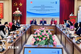 Quang cảnh hội thảo. (Ảnh: Việt Đức/TTXVN)