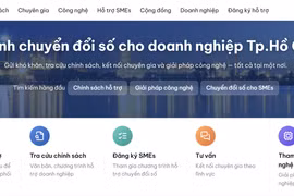 Sở Khoa học và Công nghệ Thành phố Hồ Chí Minh đã mở cổng hỗ trợ chuyển đổi số doanh nghiệp.