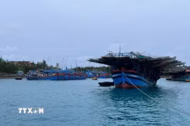 Các Trung tâm dịch vụ Hậu cần-Kỹ thuật trên các đảo thuộc quần đảo Trường Sa bố trí sắp xếp bảo đảm an toàn cho tàu cá ngư dân vào tránh trú Bão số 13. (Ảnh: TTXVN phát)
