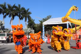 Hàng trăm đoàn lân sư rồng tham gia biểu diễn - đông nhất tại một địa điểm ở Bình Dương. (Ảnh: Huyền Trang/TTXVN)