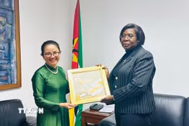 Đại sứ Việt Nam tại Mozambique Trần Thị Thu Thìn chào xã giao Thủ tướng Mozambique Maria Benvinda Delfina Levi. (Ảnh: TTXVN phát)