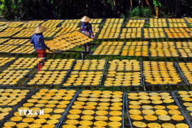 Bằng sự khéo léo và sáng tạo, phụ nữ Đồng bằng sông Cửu Long đã biến những sản vật sẵn có tại địa phương thành các sản phẩm có giá trị gia tăng cao. (Ảnh: Huỳnh Anh/TTXVN)
