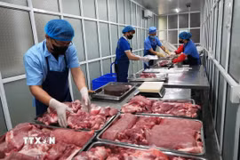Công tác quản lý, bảo đảm an toàn thực phẩm tiếp tục được các cấp lãnh đạo, các ngành, các cấp quan tâm. (Ảnh: Minh Tâm/TTXVN)