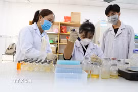 Hướng dẫn sinh viên thực tập trong phòng thí nghiệm tại Đại học Trà Vinh. (Ảnh: Thanh Hòa/TTXVN)