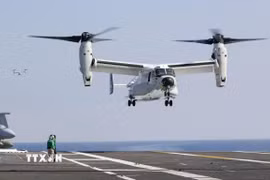 Máy bay CMV22 Osprey của Mỹ tham gia cuộc tập trận chung 3 bên Freedom Edge với Nhật Bản và Hàn Quốc tại vùng biển gần phía Nam đảo Jeju, ngày 14/11/2024. (Ảnh: Yonhap/TTXVN)
