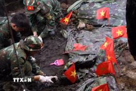 Những lá cờ nhỏ đánh dấu điểm nghi có hài cốt liệt sỹ. (Ảnh: Xuân Khu/TTXVN)