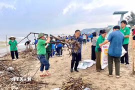 Ước tính có khoảng 6.000m3 rác, củi theo mưa lũ dạt vào bãi biển Sầm Sơn. (Ảnh: TTXVN phát)