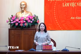 Bí thư Trung ương Đảng, Phó Chủ tịch nước Võ Thị Ánh Xuân phát biểu tại buổi làm việc. (Ảnh: Văn Sĩ/TTXVN)