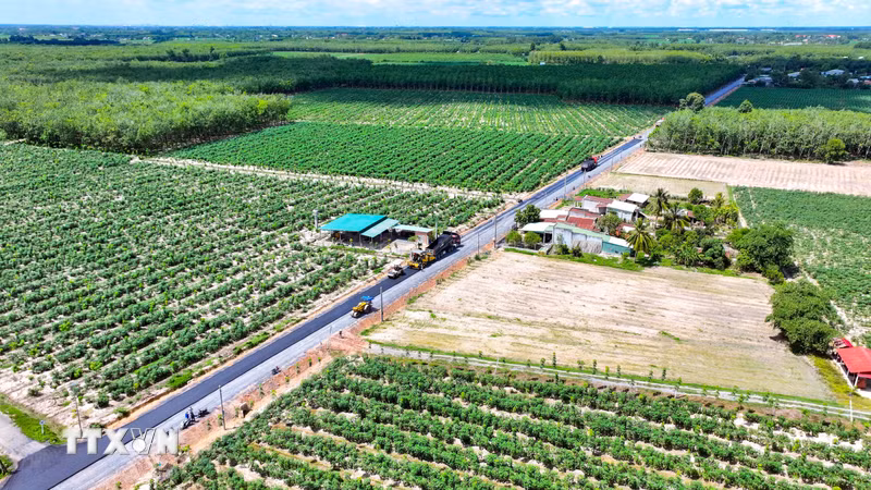 Khánh Hòa định hướng phát triển kinh tế tập thể theo hướng hiệu quả, bền vững