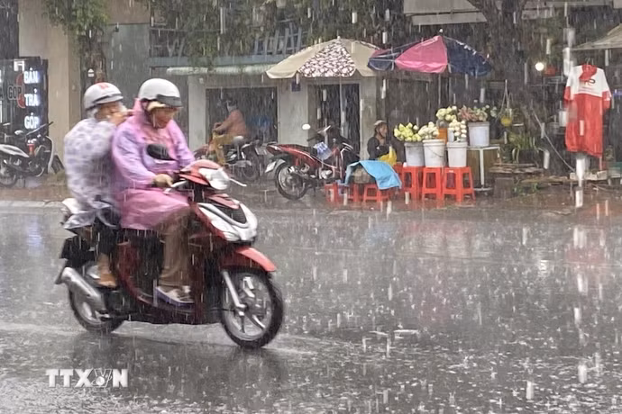 Ảnh minh họa. (Ảnh: Công Mạo/TTXVN)