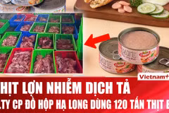 Chi tiết vụ 120 tấn thịt lợn nhiễm dịch tả tại Công ty Đồ hộp Hạ Long