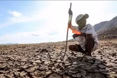 Thời tiết trên cả nước diễn biến bất thường dưới tác động của El Nino 