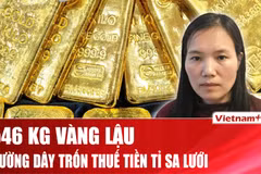 546 kg vàng và tiền tỷ trốn thuế trong đường dây buôn lậu bị lật tẩy