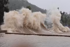 Quảng Ninh, Hải Phòng và Hưng Yên sẵn sàng ứng phó cơn bão Maysak 