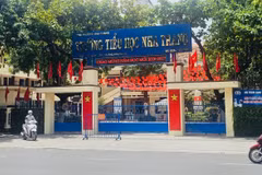 NNha Trang phản hồi thông tin sáp nhập 13 trường tiểu học thành “siêu trường học” với hơn 10.500 học sinh
