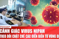 Thành phố Hồ Chí Minh duy trì cảnh giác cao, virus Nipah có khả năng gây tỷ lệ tử vong cao