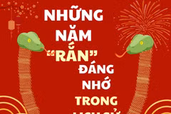 Điểm lại những năm "rắn" đáng nhớ trong lịch sử Việt Nam