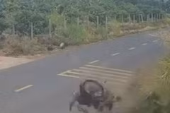 Khởi tố thiếu tá Cảnh sát giao thông liên quan vụ nam sinh lao xe xuống mương tử vong
