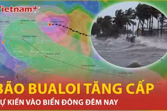 Bão Bualoi vào Biển Đông, dự báo vùng chịu ảnh hưởng đầu tiên