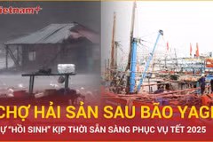 Sau bão Yagi, chợ hải sản Quảng Ninh “hồi sinh” kịp thời phục vụ Tết 2025 