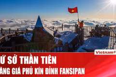 Băng giá phủ kín đỉnh Fansipan, khung cảnh như cổ tích mùa Giáng sinh
