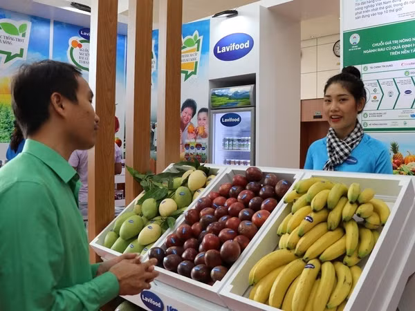 Kiến tạo tương lai số: Phát triển nền dữ liệu nông nghiệp-nông dân-nông thôn