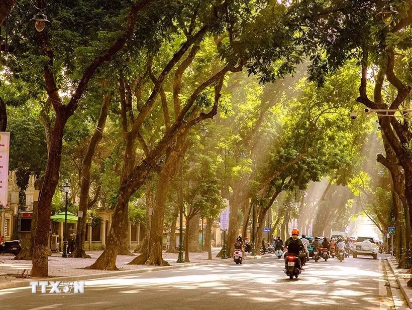 Hà Nội mỗi mùa đều mang một vẻ đẹp riêng, nhưng có lẽ mùa Thu là mùa khiến lòng người say đắm, xao xuyến hơn cả. (Ảnh: Khánh Hòa/TTXVN)