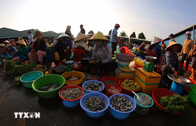 Rau vườn, trái cây là cây nhà, cá là bắt dưới mương lên còn tươi xanh. (Ảnh: Duy Khương/TTXVN)