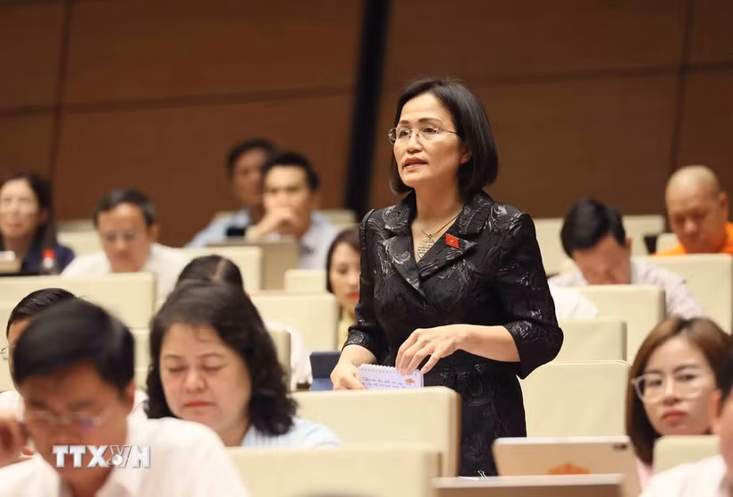 Đại biểu Quốc hội tỉnh Quảng Ninh Trần Thị Kim Nhung. (Ảnh: An Đăng/TTXVN)