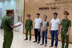Đường dây phân bón giả 24.000 tấn: Chỉ 461 tấn thực sự có nguồn gốc từ Bỉ 