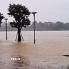 Lũ lên trên báo động 2 gây ngập đường đi bộ ven bờ Nam sông Hương, thành phố Huế. (Ảnh: Nguyên Lý/TTXVN)
