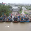 (Ảnh minh họa: Xuân Tiến/TTXVN)