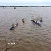 Du khách trải nghiệm mùa nước nổi trên cánh đồng ở Đồng Tháp. (Ảnh: Nhựt An/TTXVN)
