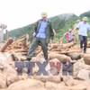 Xây dựng khu tái định cư khẩn cấp cho người dân vùng lũ Lai Châu
