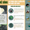 Phong Nha-Kẻ Bàng - một trong những điểm đến đẹp nhất Việt Nam