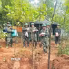 Đà Nẵng: Tìm thấy 3 bộ hài cốt liệt sỹ từ nguồn tin của người dân