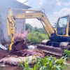 Tiêu hủy lợn đàn lợn mắc bệnh. (Ảnh: TTXVN phát)