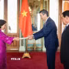 Đại sứ Việt Nam Ngô Minh Nguyệt trình Thư ủy nhiệm của Chủ tịch nước Lương Cường lên Tổng thống Paraguay Santiago Peña Palacios. (Nguồn: Đại sứ quán Việt Nam cung cấp)