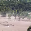 Khu vực bị tàn phá do lũ quét cuốn theo bùn đất tại huyện Rasuwa, Nepal, ngày 26/8/2026. (Ảnh: ANI/TTXVN phát)