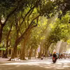 Hà Nội mỗi mùa đều mang một vẻ đẹp riêng, nhưng có lẽ mùa Thu là mùa khiến lòng người say đắm, xao xuyến hơn cả. (Ảnh: Khánh Hòa/TTXVN)