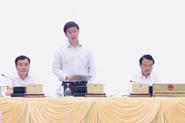 Thứ trưởng Bộ Khoa học và Công nghệ Bùi Hoàng Phương phát biểu. (Ảnh: Vietnam+)