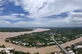 Từ năm 2011 đến tháng 7/2025, trên các tuyến đê từ cấp III trở lên tại các tỉnh, thành phố có đê đã xảy ra hơn 12.000 vụ vi phạm. Ảnh minh hoạ. (Nguồn: Vietnam+)