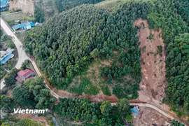 Sạt trượt nhỏ đến trung bình chủ yếu do mưa. (Ảnh: Hoài Nam/Vietnam+)